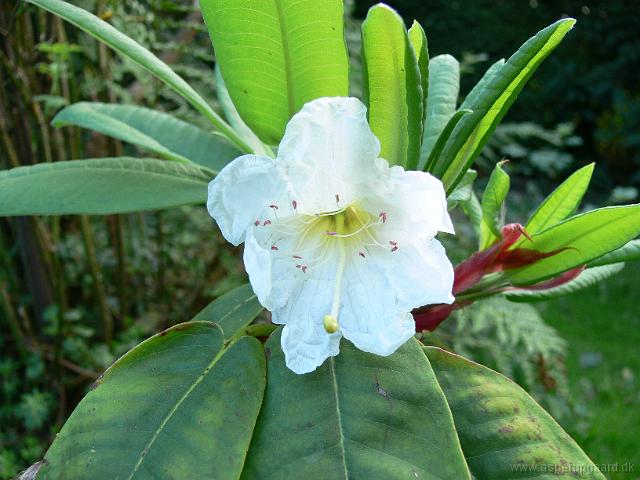 05-08-2006_10-10-35_23