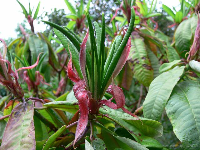 28-07-2006_09-10-42_54