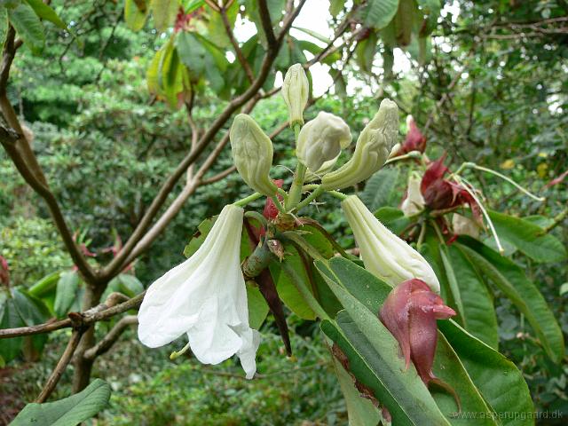 31-07-2006_10-23-18_15