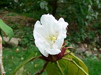 21-07-2006_16-04-45_39