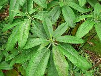23-08-2006_21-53-11_08