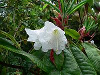 28-07-2006_09-09-39_44