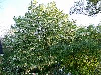 23-05-2006_21-53-00_28