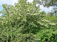 25-05-2006_09-14-51_37