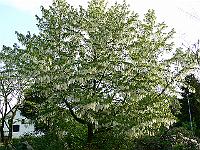 26-05-2006_08-54-22_103