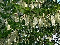 26-05-2006_08-56-36_137
