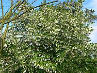 26-05-2006_08-57-09_146