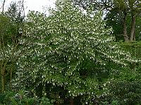 26-05-2006_08-58-37_169