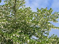 26-05-2006_09-05-57_282