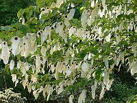 26-05-2006_19-18-04_82