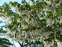 26-05-2006_19-19-20_103
