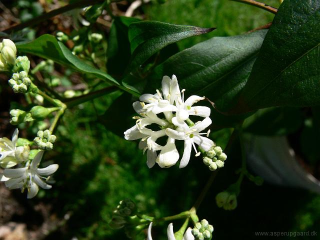 04-09-2007_13-55-02_32