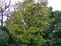 24-10-2006_15-11-32_02